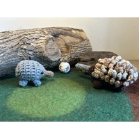 Echidna, Puggle & Egg Family