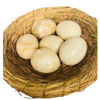 6 Marble Eggs in 21cm Birds Nest