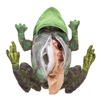 Frog Lifecycle Puppet