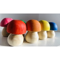 Rainbow Mushrooms 7 colours x 4.5cm