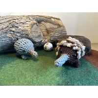 Echidna, Puggle & Egg Family