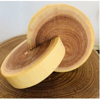 Raw Edge Montessori Interlocking Wooden Disks