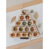 Log Counting and Sorting Trays