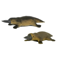 Platypus & Puggle Replica Pair