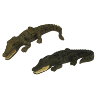Saltwater Crocodile & Hatchling Replica