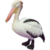Pelican Replica