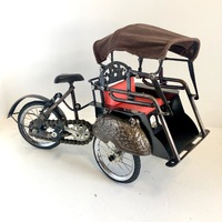 Cycle Rickshaw (Tuk Tuk)