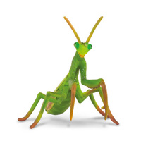 Praying Mantis Insect Replica
