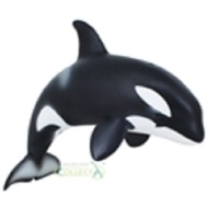 Orca Calf Replica