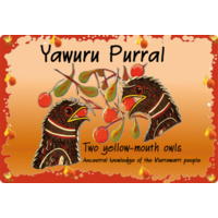 Yawuru Purral - Two yellow-mouth owls