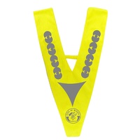 High Vis Safety Triangle 4+years