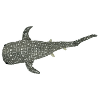 Wuanita Whale Shark