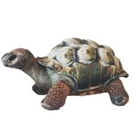 Darwin Tortoise