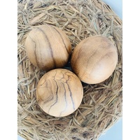 Three Teak Eggs In Nest