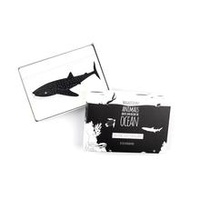 Magnificent Animals from Above & Below the Oceans Flash Cards
