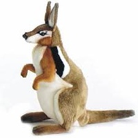 Crescent Nailtail Wallaby 40cm