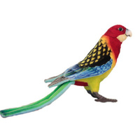 Eastern Rosella 36cm