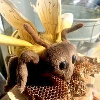 Honey Bee 22cm