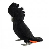 Black Cockatoo 35cm