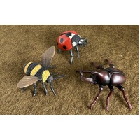 Insect Replica Set of 3