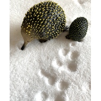 Echidna and Puggle Replica Pair