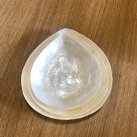 Shell Plates Set of 3 - Raindrop