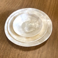 Shell Plates Set of 3
