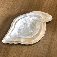 Shell Plates Set of 3 - Conch Shell