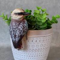 Aussie Birds Pot Sitters