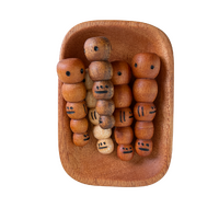 Hand-painted Bardi Grubs by Simone Hills