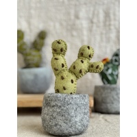 Felt Cactus Plant