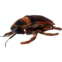 Carlisle Cockroach