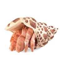 Hermit Crab Puppet