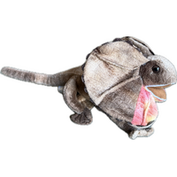 Frilled Neck Lizard