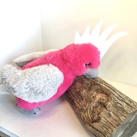 Galah Plush 25cm - Eco Buddies