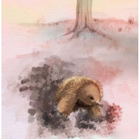 The Bushfire Babies
