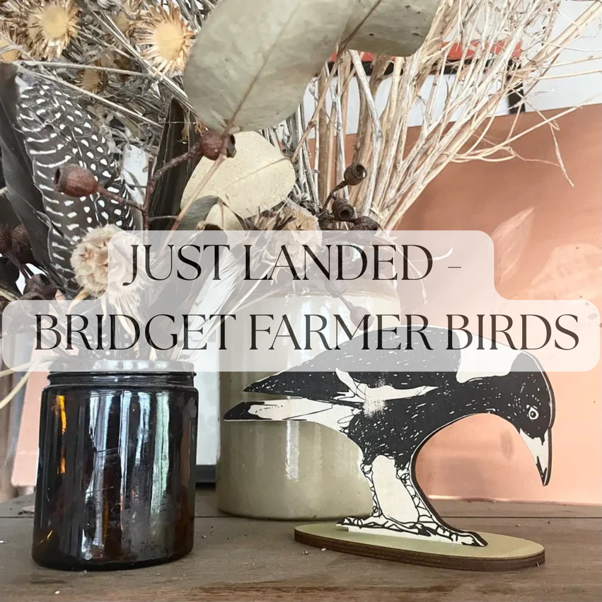 JUST LANDED - BRIDGET FARMER BIRDS