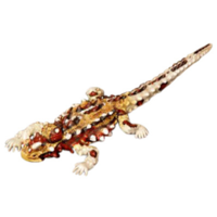 Thorny Devil Replica