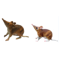 Bandicoot & Joey Replica