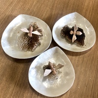 Shell Plates Set of 3 - Raindrop