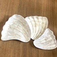 Shell Plates Set of 3 - Wave
