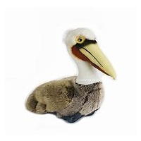 Pelican Brown Baby