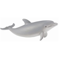 Bottlenose Dolphin Calf Replica