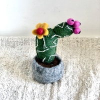Felt Cactus Flowered