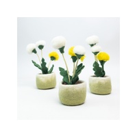 Felt Puffball Succulent