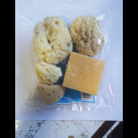 Sea Sponge - Craft pack Set 5
