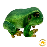 Francis Tree Frog