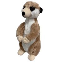 Meerkat (ECO)