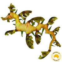 Leafy Sea Dragon - Large