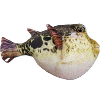 Pablo Puffer Fish